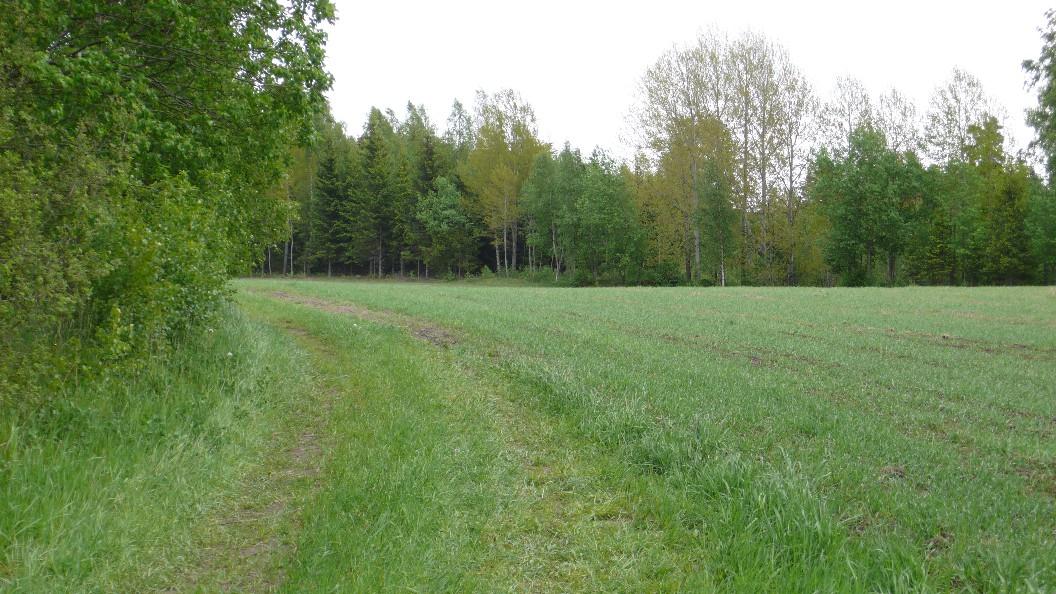 6 Dessa undersökningar/utredningar är nu framtagna och kunskaperna härifrån har inarbetats i planförslaget.