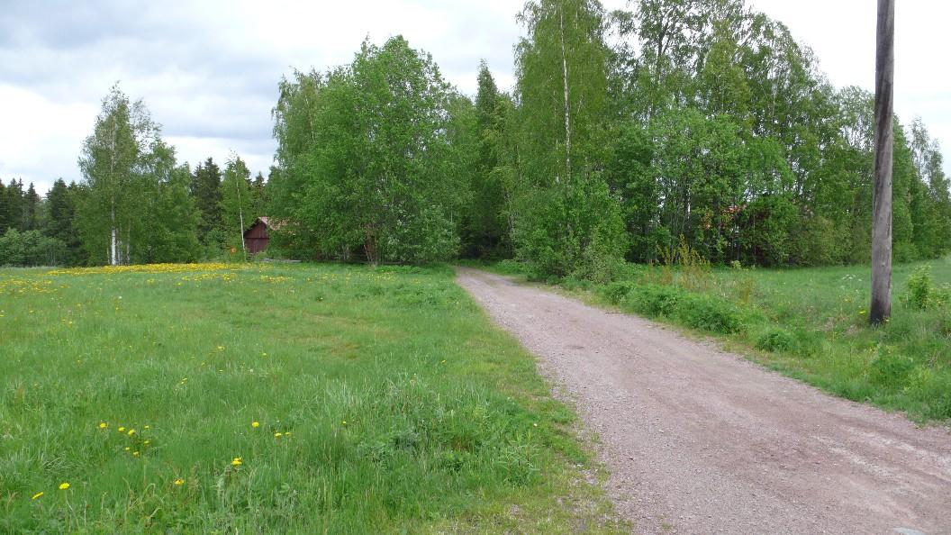 De högsta nivåerna finns i delen väster om länsvägen. Själva kvartersmarken ligger på nivåer mellan ca +101,0 och +105,0 meter (RH 00).