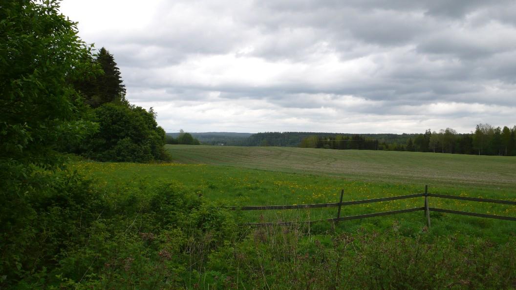 7 I övrigt utgörs planområdet av ängs- och åkermark. Den anslutande skogsmarken är av blandskogskaraktär.