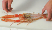 KRABBA (kokt) 3.