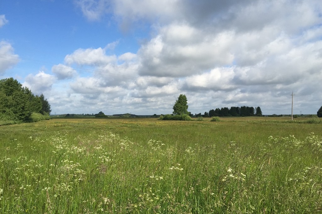 Everöds ängar, 14 ha KRISTIANSTAD EVERÖD 23:1, DEL AV Jordbruksmark om ca 14 ha beläget intill Helge å, strax norr om Sjögård, mellan Everöd och Yngsjö.