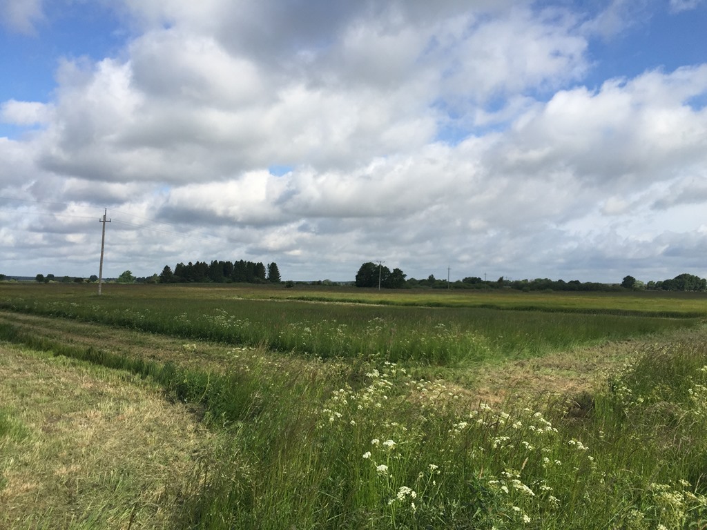 KRISTIANSTAD EVERÖD 23:1, DEL AV Belägenhet & vägbeskrivning Från Everöd: Kör förbi Lyngby mot Ripa/Yngsjö. Strax innan Helge å tar ni av till vänster.