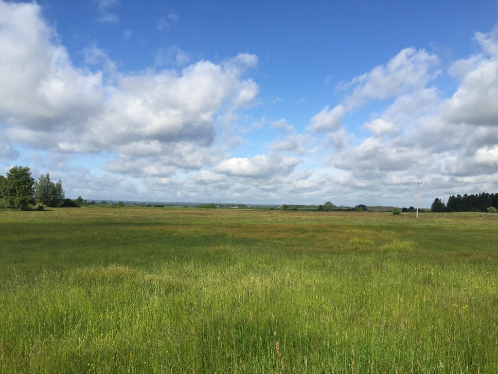 (Källa Skogsstyrelsen). Däremot omfattas hela området av Natura-2000. Åkermark Areal enligt SAM-ansökan om 10,79 ha. Möjlig att utöka med ca 0,5-1,0 ha.