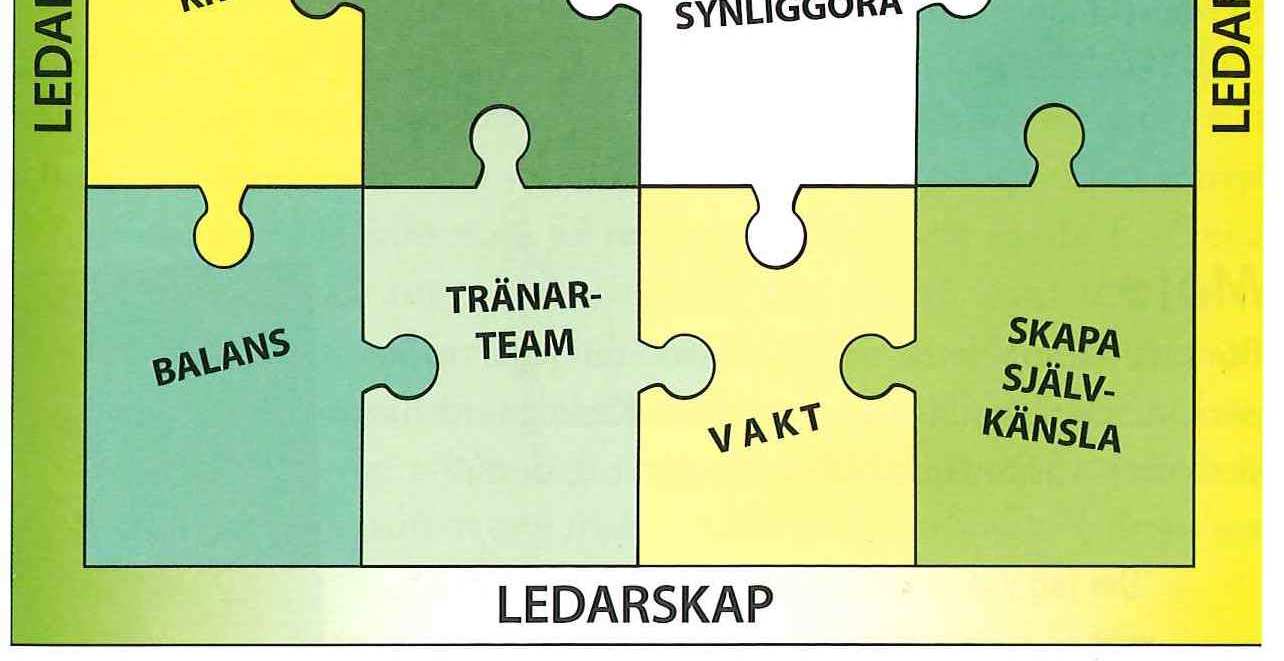 Gå igenom var och en av de 12 pusselbitarna. Hur kan ni i föreningen planera och utföra verksamheten så att alla pusselbitarna finns med?