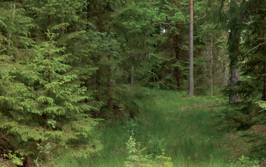 VÄGBESKRIVNING Från E22:an åker man in den södra infarten mot Valdemarsvik. Efter 4,3 km kommer man fram till Gållösa där man tar av till höger.