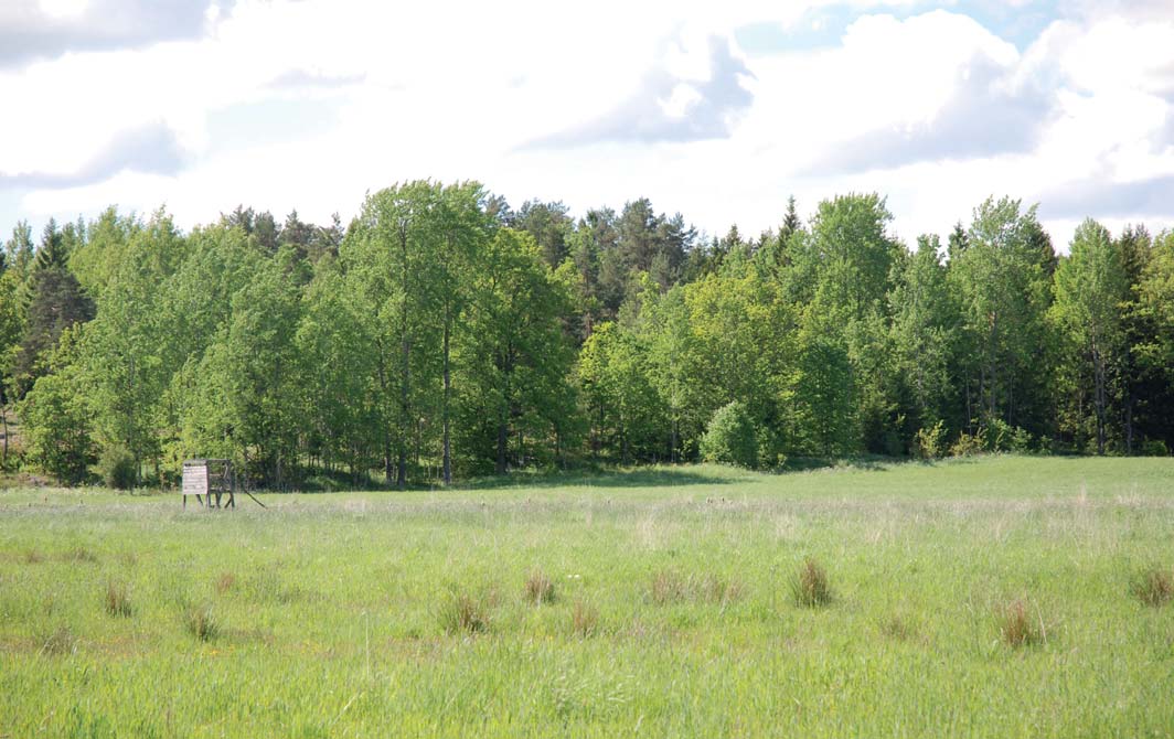 NATURRESERVAT I den norra delen av fastigheten har ett naturreservat bildats, benämnt Kattedals gammelskog. All intrångsersättning för detta reservat har redan reglerats.