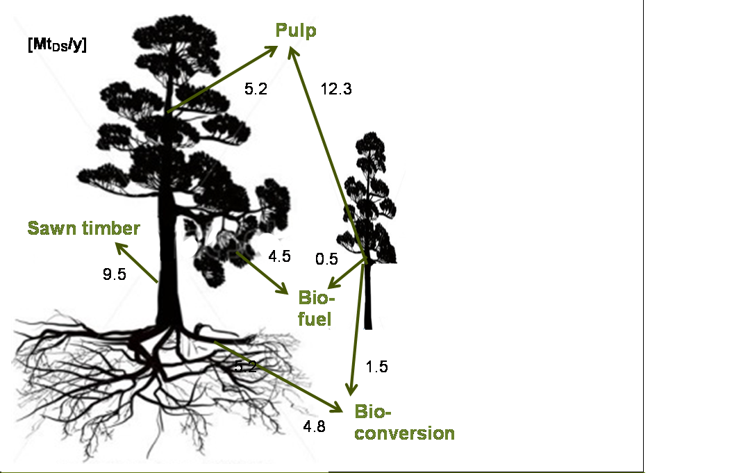 42 [Mt DS /y] Sawn Bioconversion Pulp timber Biofuel Sum Stemwood 9.5 5.2 14.7 Thinnings 12.3 1.5 0.5 14.3 Branches & tops 4.5 4.5 Stumps & roots 4.8 4.8 Sum 9.5 17.5 6.3 5.0 38.3 Figur 11.