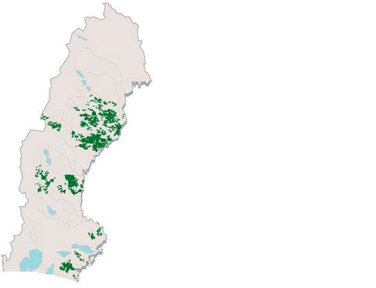 Holmen Skog AB Skogsbolaget MoDo bytte år 2000 namn till Holmen. Grunden för Holmen lades för nästan 400 år sedan i Motala ström i Norrköping då ett vapenfaktori byggdes.