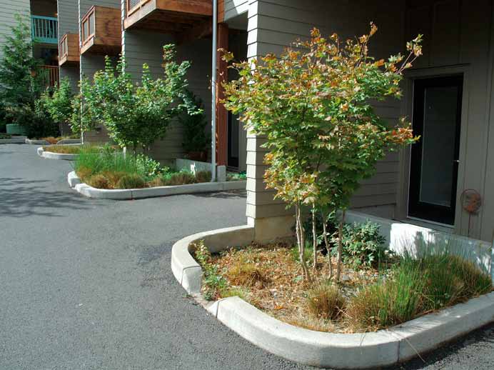 Växtbäddens övre del är i marknivå eller strax under, så att ytligt avrinnande dagvatten från till exempel tomt, parkering eller gatumark kan ledas in i växtbädden.