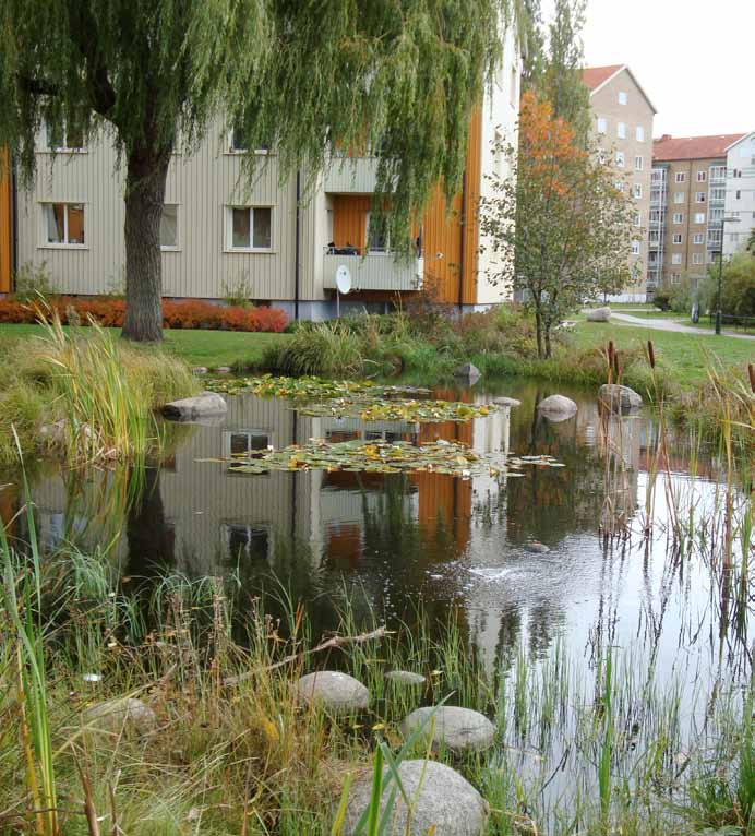 Damm i ett bostadområde med mer naturlik utformning. Dagvattendammar kan vara både vackra och funktionella. Foto: Dagvattengruppen Sweco.