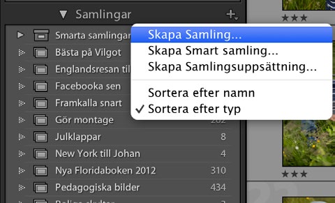 Ta bort den när den Skapa en samling Samla ihop bilder som hör ihop spelat ut sin roll.