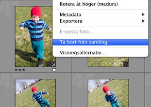 Välj Skapa samling och döp din samling i fönstret. Nu ser du bara samlingens bilder.