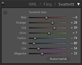 Alternativ två ger dig möjlighet att själva tolka hur en svartvit version av bilden ser ut: Borde alla blå färger bli nattsvarta medan alla gula färger blir kritvita så kan du göra det.