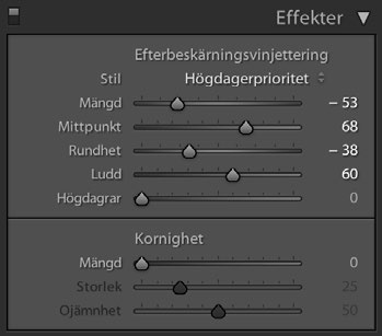 I exempelvis en dagstidning kan det vara användbart om nyhetsbilden är rörig och du vill fokusera på huvudpersonen. Du hittar vinjettering en bit ner i högerpanelen under titeln Effekter.