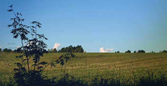 För dig som gillar att idrotta och röra på dig är det här en ganska häftig möjlighet, eller hur? Du får hålla på med sådant du tycker om. Det hjälper dig att utvecklas inom många områden.