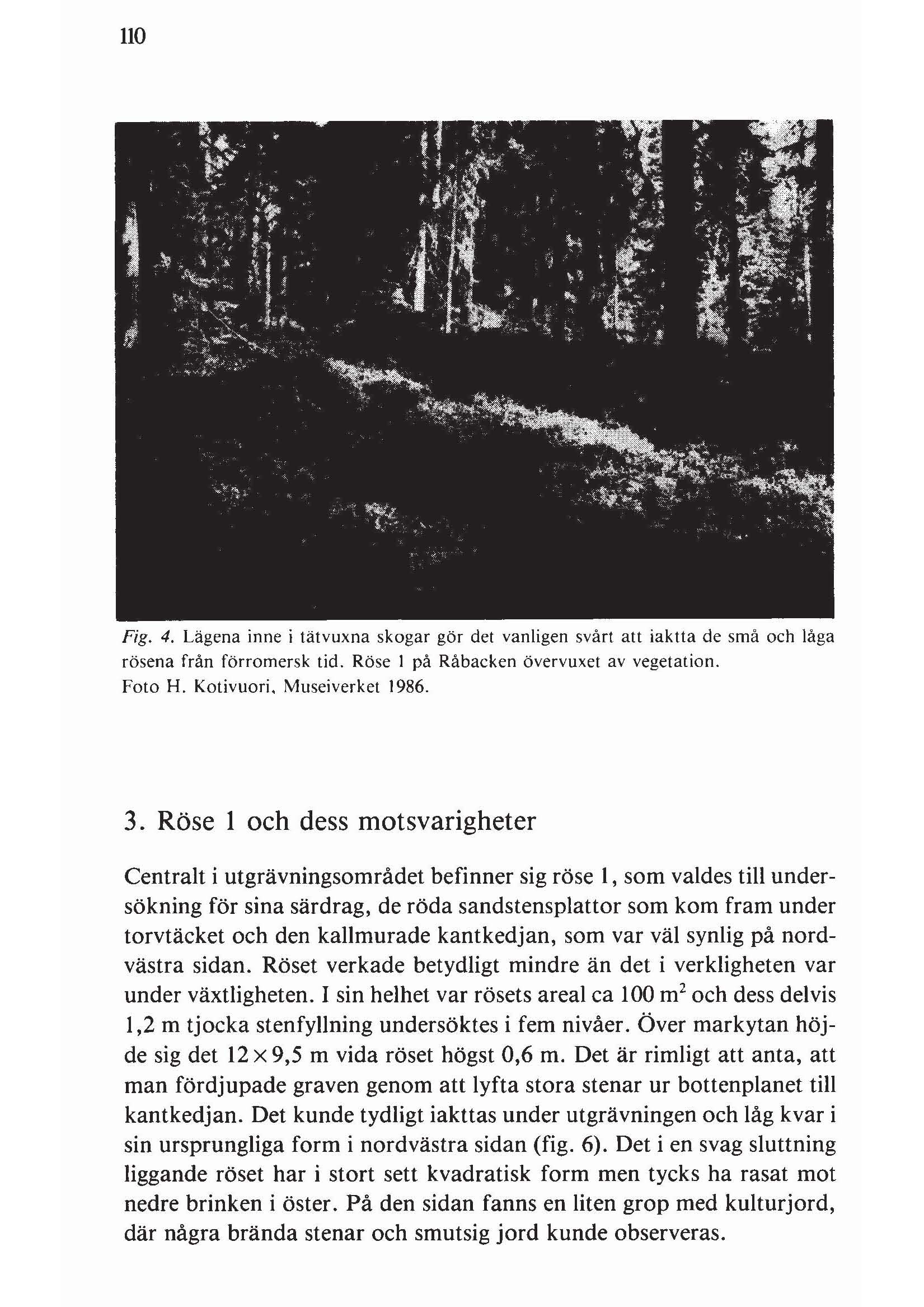 110 Fig. 4. Lägena inne i tätvuxna skogar gör det vanligen svårt att iaktta de små och låga rösena från förromersk tid. Röse I på Råbacken övervuxet av vegetation. Foto H. Kotivuori. Museiverket 1986.