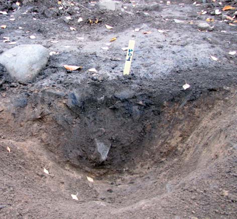 A205 härdbotten Anläggningen var oregelbundet oval i plan, ca 1,2 x 1,0 m. Materialet bestod av flammig svartsotig silt, blandat med brunsvart humös silt.