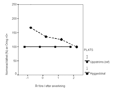 Figur 52. Normerad täthet av äldre öring (>0+) på hyggeslokalerna (samtliga vattendrag) jämfört med uppströms referens (satt till 100%).