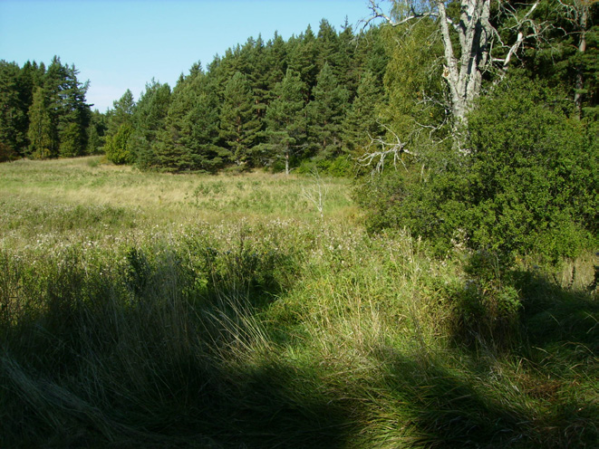 Längre in i planområdet, i nordväst, begränsas bullret av höjder i terrängen och av vegetation. Planområdet ligger utanför bullerkurvan FBN 55 db(a) från Arlanda flygplats (Sigtuna kommun 2014).