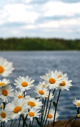 Önskar du mer information? Att hantera dag- och dräneringsvatten på bästa sätt är inte enkelt.