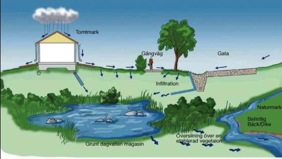 LOD = En hantering av dagvatten inom det område där det