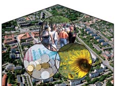 Järfälla ska bli en attraktiv Ekonomisk, ekologisk och social hållbarhet samordnas till en helhet i bebyggelsen. bostadsort.