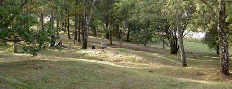 Insprängt i bebyggelsen finns flera spridningssamband för ädellövskog som länkar samman Görväln med Västra Järvafältet, se karta Försörjande ekosystemtjänster.