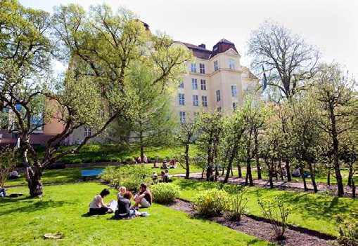 En samlad fakultet När jag skriver dessa rader sitter jag på femte våningen i mediehuset på Campus Linné.