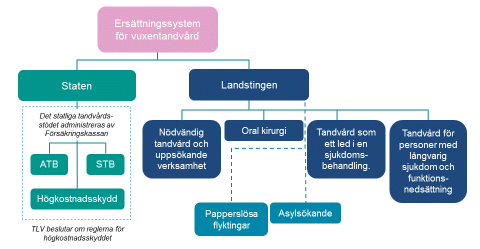 10 (50) omfattas av lagen om stöd och service till vissa funktionshindrade (LSS) eller har ett varaktigt behov av omfattande vård- och omsorgsinsatser (nödvändig tandvård och uppsökande verksamhet),