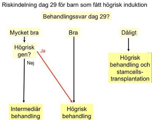 Bilden ovan visar riskindelningen för de som fått högrisk induktion. För dessa gäller att de får Intermediär behandling om sjukdomen svarat mycket bra på behandling och de inte har högriskgener.