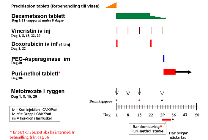 Högrisk induktion Mer information Läs mer om Prednisolon, Doxorubicin, Vincristin, Metotrexate i ryggen,