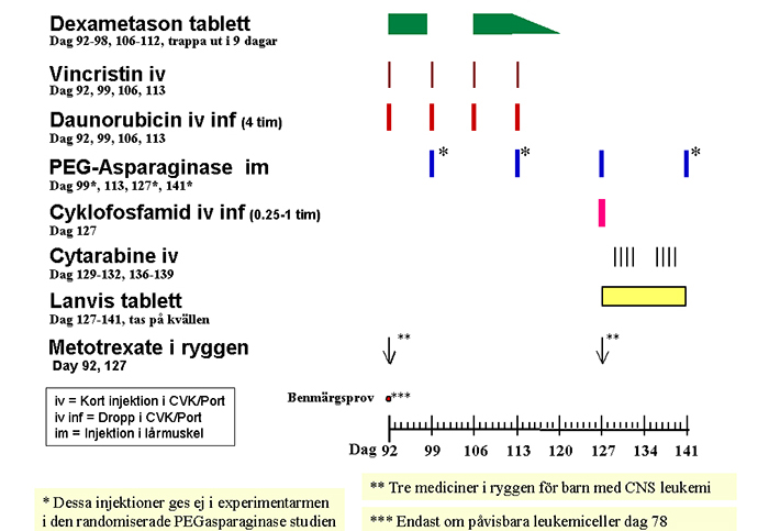 Mer information Läs mer om Prednisolon, Doxorubicin, Vincristin, Metotrexate i ryggen, Puri-nethol och PEG-Asparaginase.