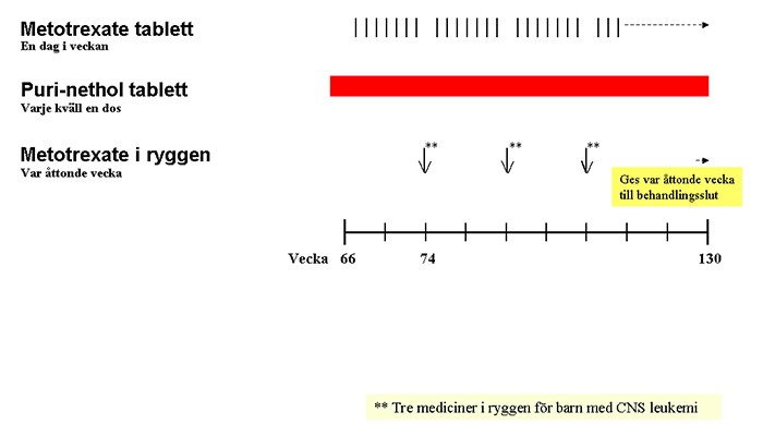 Underhållsfas II IR Intermediär behandling Mer information Läs mer om Metotrexate i ryggen,