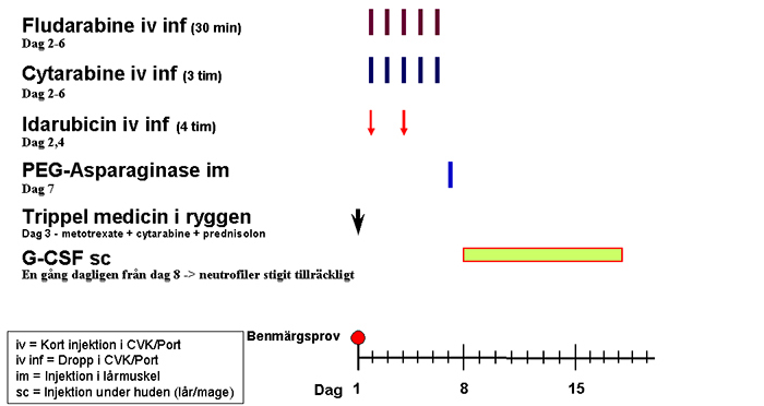 Block C Högriskbehandling Mer information Läs mer om Metotrexate (högdos), Fludarabine, Cytarabine (högdos),