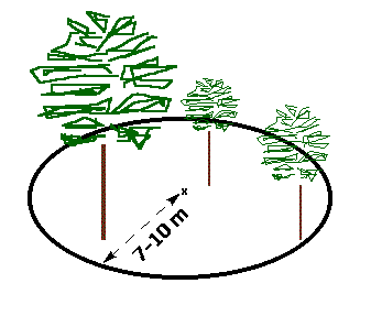 Sveriges enda objektiva, nationella inventering av skogsmark och vegetation och är en viktig del av miljöövervakningen av landekosystemen.