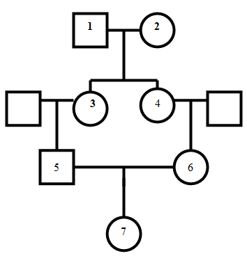 Meioser är ett praktiskt sätt att mäta avståndet mellan två individer i ett pedigree. Mellan en förälder och dess barn skiljer det enbart en meios.