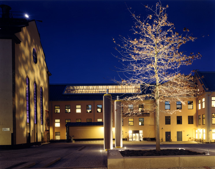 2.3 CASE STUDIES Följande case studies/ fallstudier har genomförts: 1. 2. 3. 4. 5. 6. 7. 8. Träd i hårdgjord yta, renovering av växtbädd: Kungsträdgårdens körsbärslund, Stockholm.