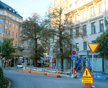 5 KUNGSBROPLAN, STOCKHOLM, RENOVERING AV VÄXTBÄDDAR FÖR ÄLDRE LINDAR BAKGRUND Två exemplar äldre lindar, ca 100 år gamla, placerade i centrala Stockholm i utkanten av en trafikcirkulation.