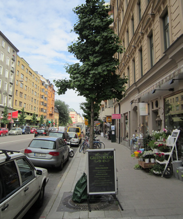 7 HORNSGATAN, STOCKHOLM, NYPLANTERING AV GINGKO SOM GATUTRÄD BAKGRUND Hornsgatan är en av landets hårdast miljöbelastade gator med luftföroreningar och buller.