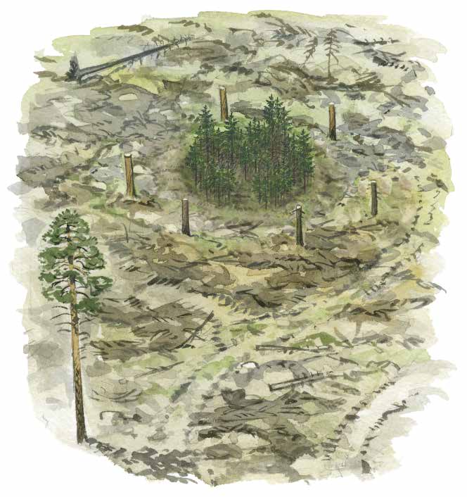 Kulturmiljövård Kulturlämningar i skogen kan delas in i två kategorier: fornlämningar som skyddas enligt kulturminneslagen och övriga kulturlämningar som skyddas enligt skogsvårdslagen.