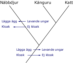 Men, detta är inget absolut bevis för att det verkligen gick till så utan bara en hypotes.