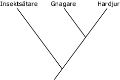 Det skulle kunna vara så här också: Men denna lösning är mindre trolig eftersom den kräver fyra evolutionära förändringar istället för bara två.