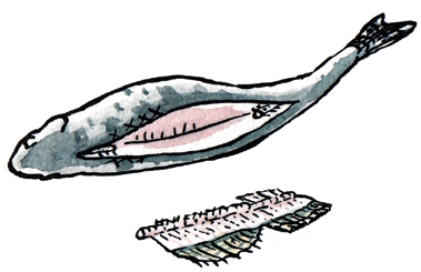 Rensa fisk som ska fyllas från ryggsidan Större fiskar som ska fyllas, t.ex. gädda eller gös, kan öppnas från ryggsidan.
