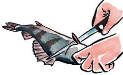 Vid fileing är det onödigt att tvätta fisken, om den hanteras i ren omgivning.