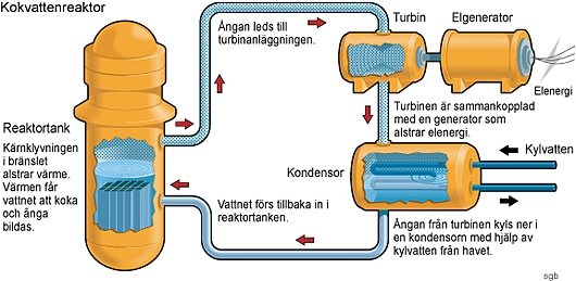 Funktion och delar Hur fungerar ett kärnkraftverk? Ett kärnkraftverks funktion går ut på att man använder sig av en kedjereaktion i from av fission.