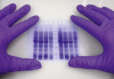 184 Celler och Bioteknik Celler och Bioteknik 185 Genteknik Under 1960 -talet forskades det mycket om genetik och DNA.