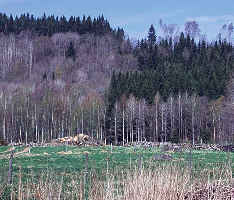 En orsak till att den sumeriska kulturen gick under var att åkermarken fick så hög salthalt att den inte längre gick att odla.