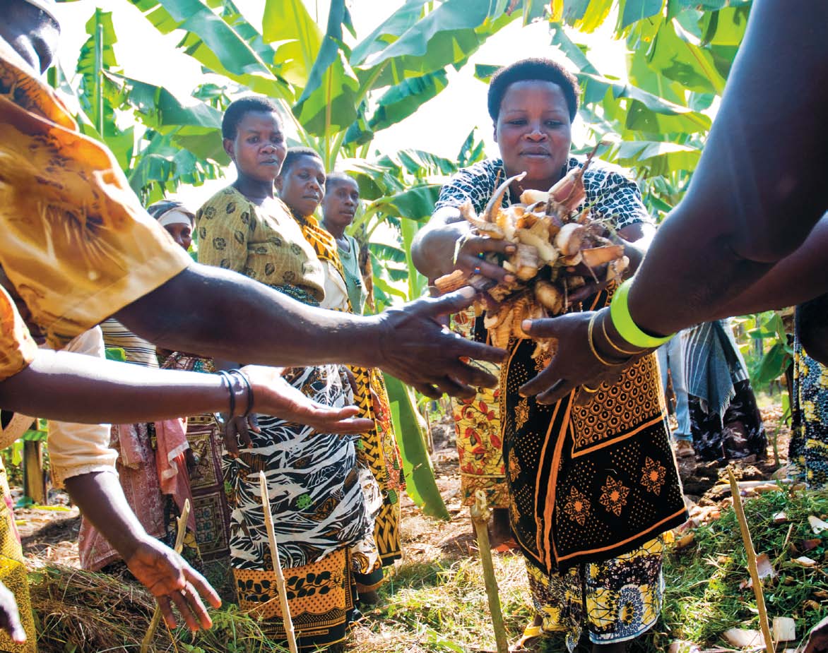 Kvinnogruppen Mafaniko i östra Tanzania. Foto: Maurits Otterloo Vi-skogens arbetsområden Utifrån Vi-skogens vision, uppdrag och utvecklingsfilosofi har fyra arbetsområden identifierats.