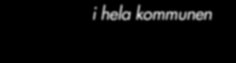lokal närvaro,