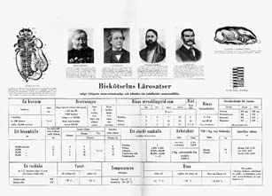 ..115: 190B Drottningodling för vanligt folk, av Ulf Gröhn, rikl. illustrerad och skriven för som titeln säger- vanligt folk. 52 sid. häftad...85: 190D Drottningodling i praktiken, med bisnurran.
